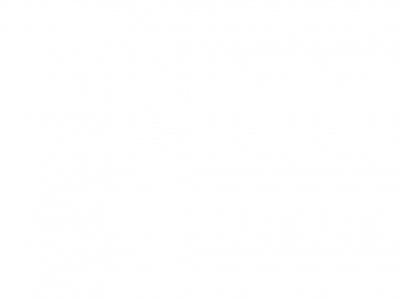 Ein Sortiergreifer mit oder ohne Rotator SOR 35,50,95,125