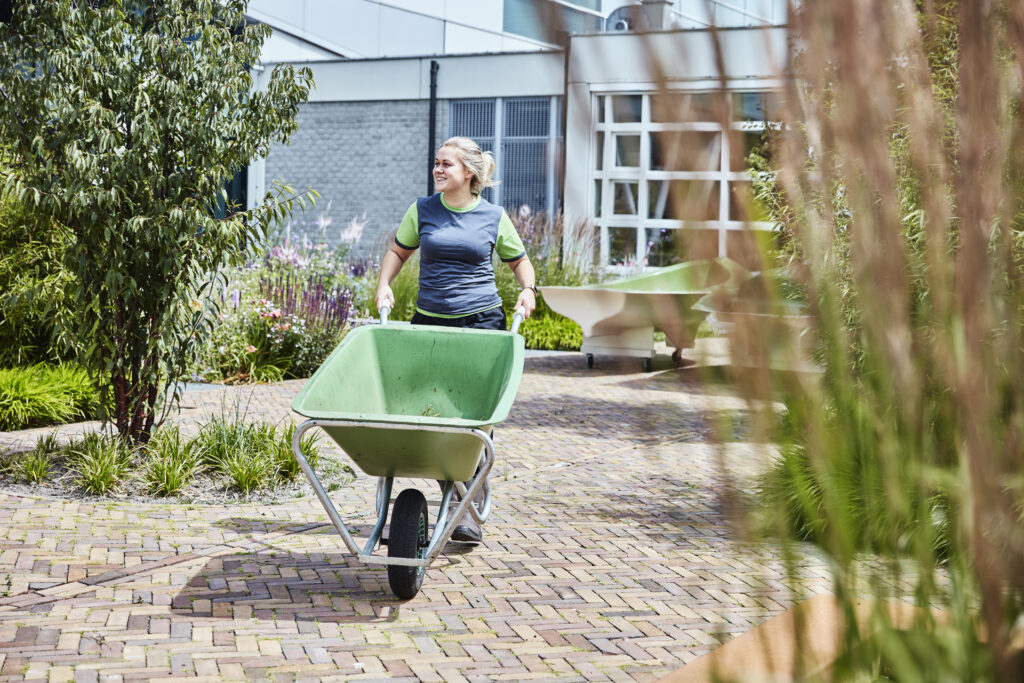 Grüne Wartung und Standortverwaltung