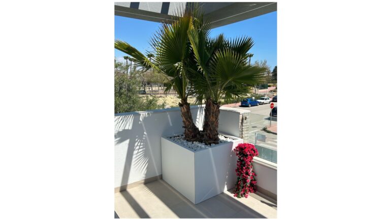 Binnentuin in Ibiza style met onze vlakke bloembak in het Wit