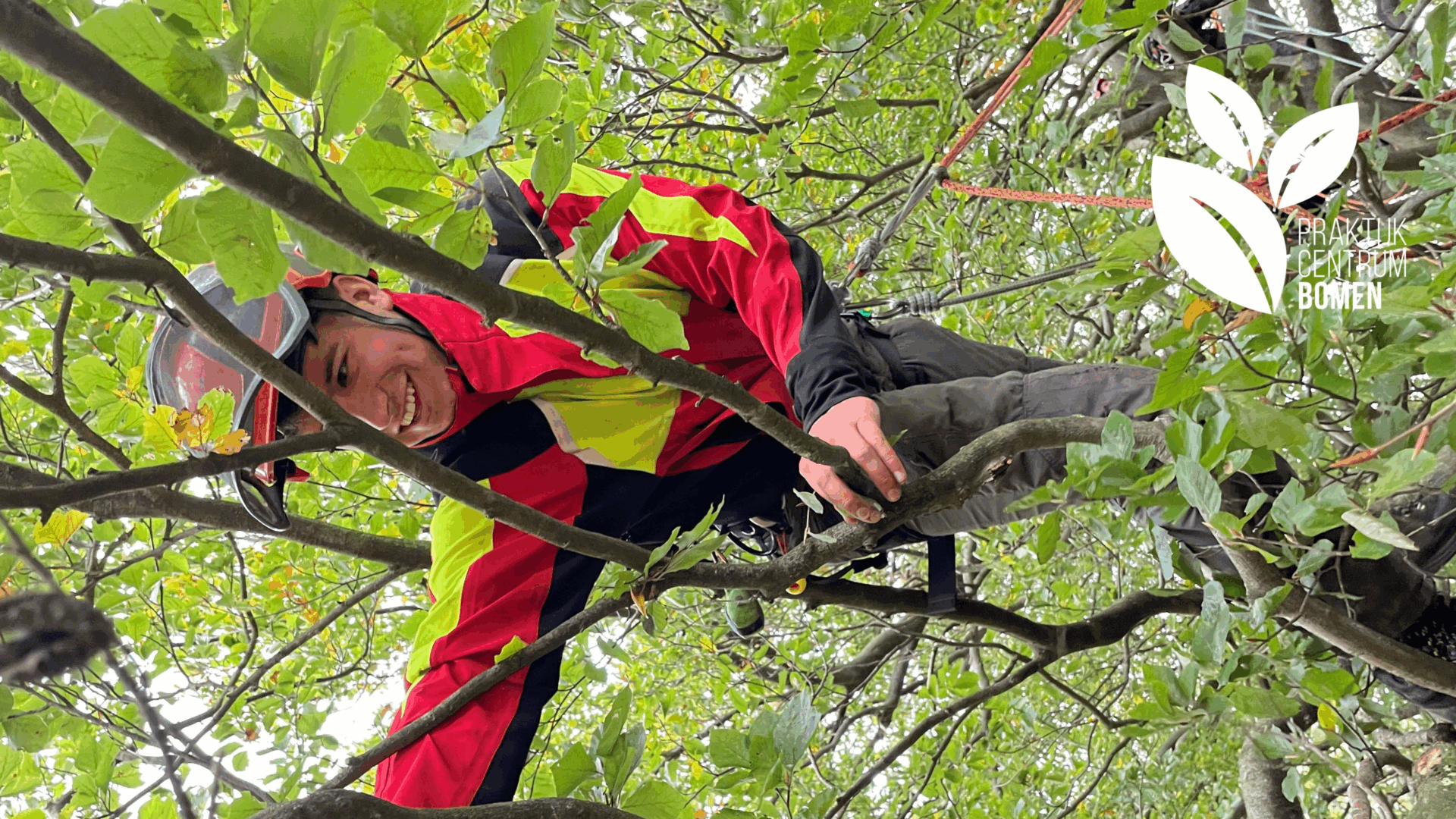 Opleiding: European Treeworker (ETW)