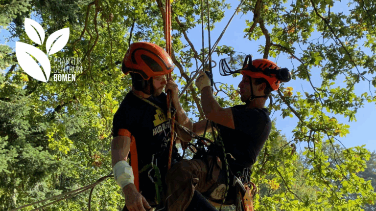 Training: Herhaling BHV voor Boomverzorgers