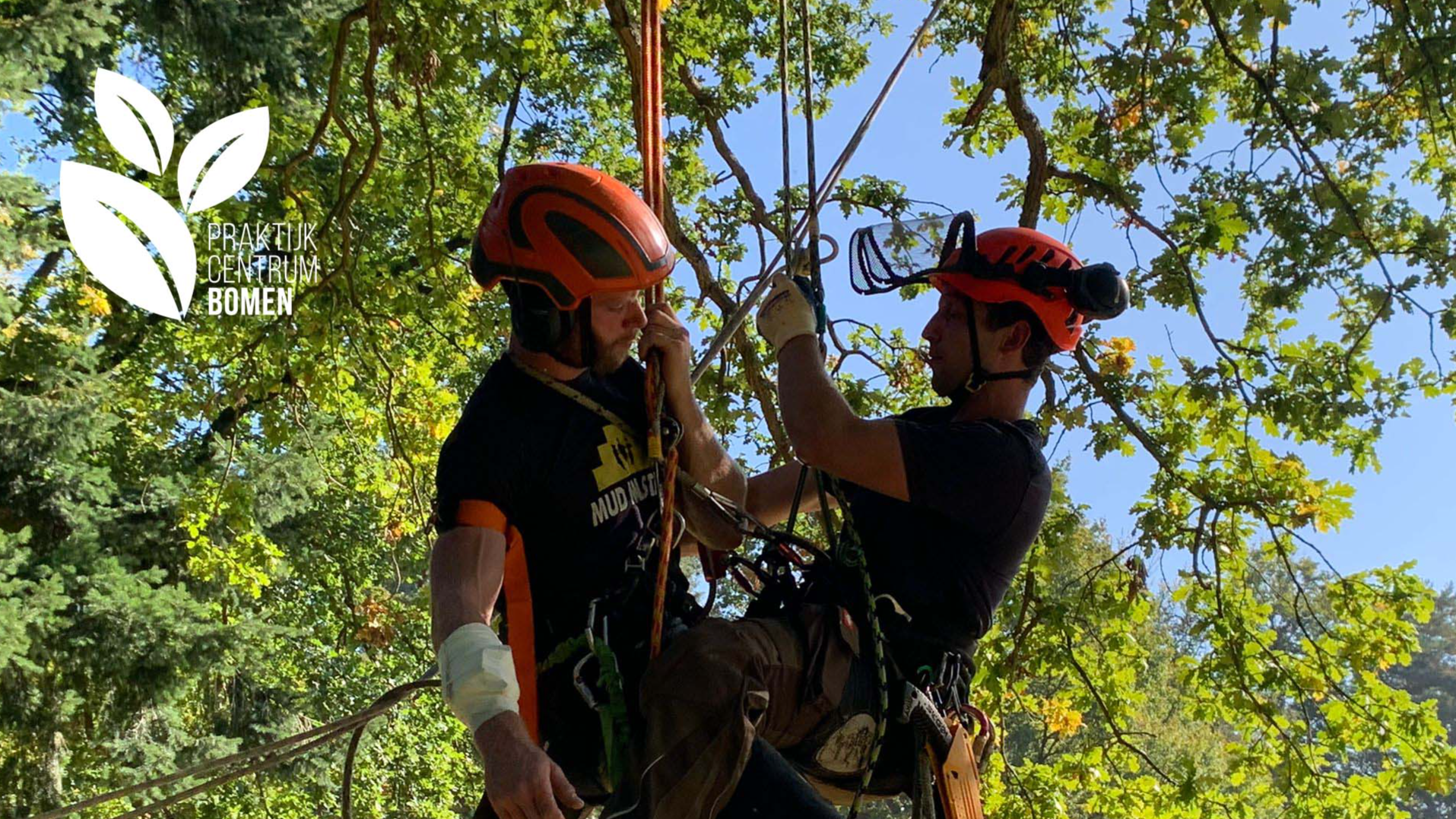 Training: Herhaling BHV voor Boomverzorgers