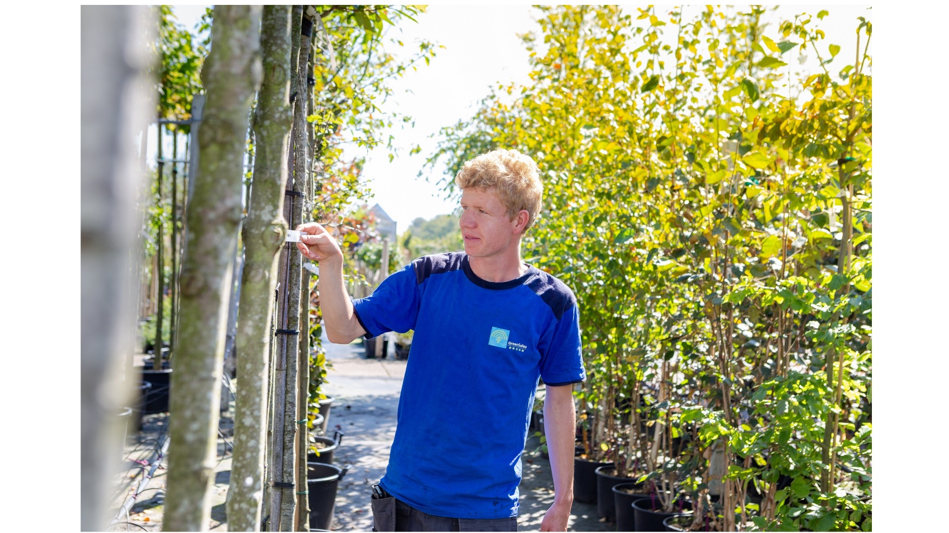 Zaterdaghulp kwekerij – Balk
