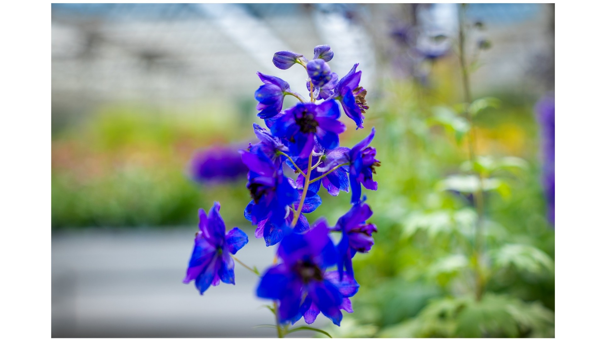 Medewerker groencentrum – Balk (start per 1 januari 2026)