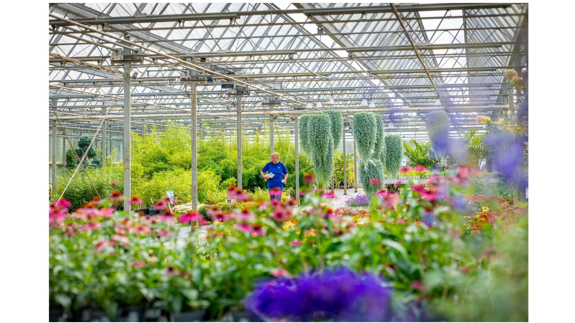 Medewerker groencentrum – Balk (start per 1 januari 2026)