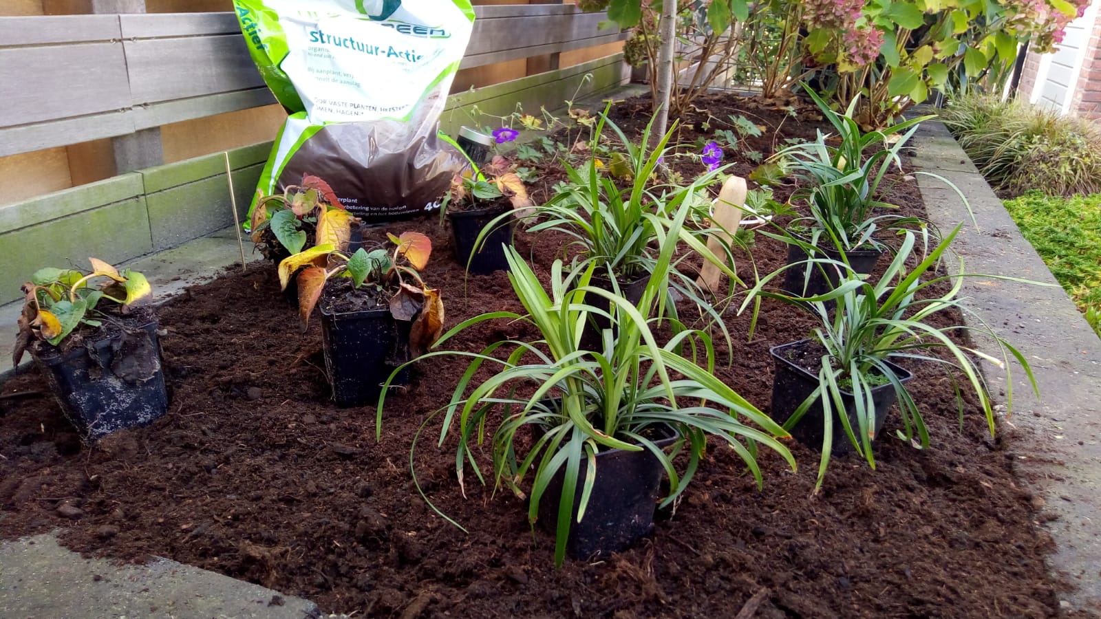 Structuur-Actief© aanplantgrond + Mycorrhizae en voeding