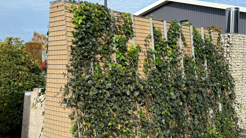 Neuer grüner Gabionenkorb setzt Maßstäbe für Nachhaltigkeit in der Landschaftsgestaltung und Gebietsentwicklung.