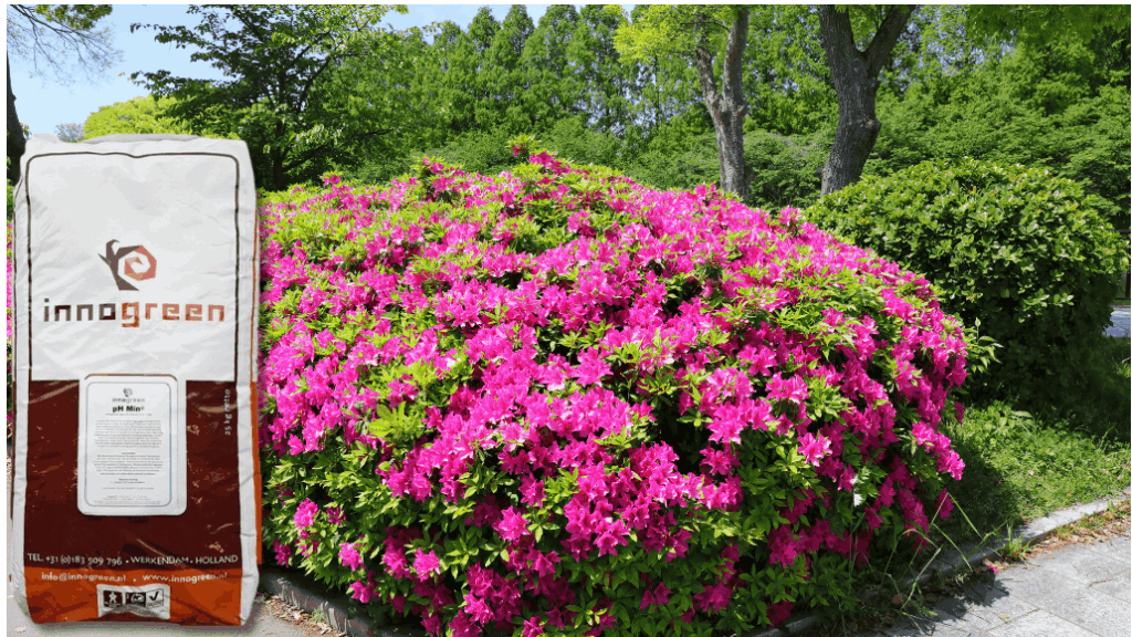 pH-Min NPK 6-6-4 + 2 MgO (correctie meststof zuurminende planten)