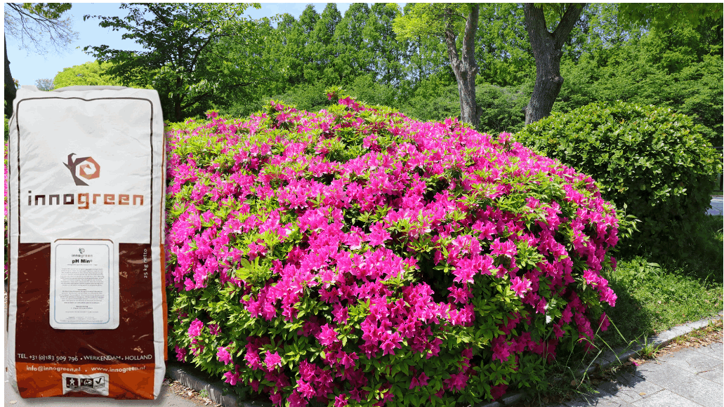 pH-Min NPK 6-6-4 + 2 MgO (correctie meststof zuurminende planten)