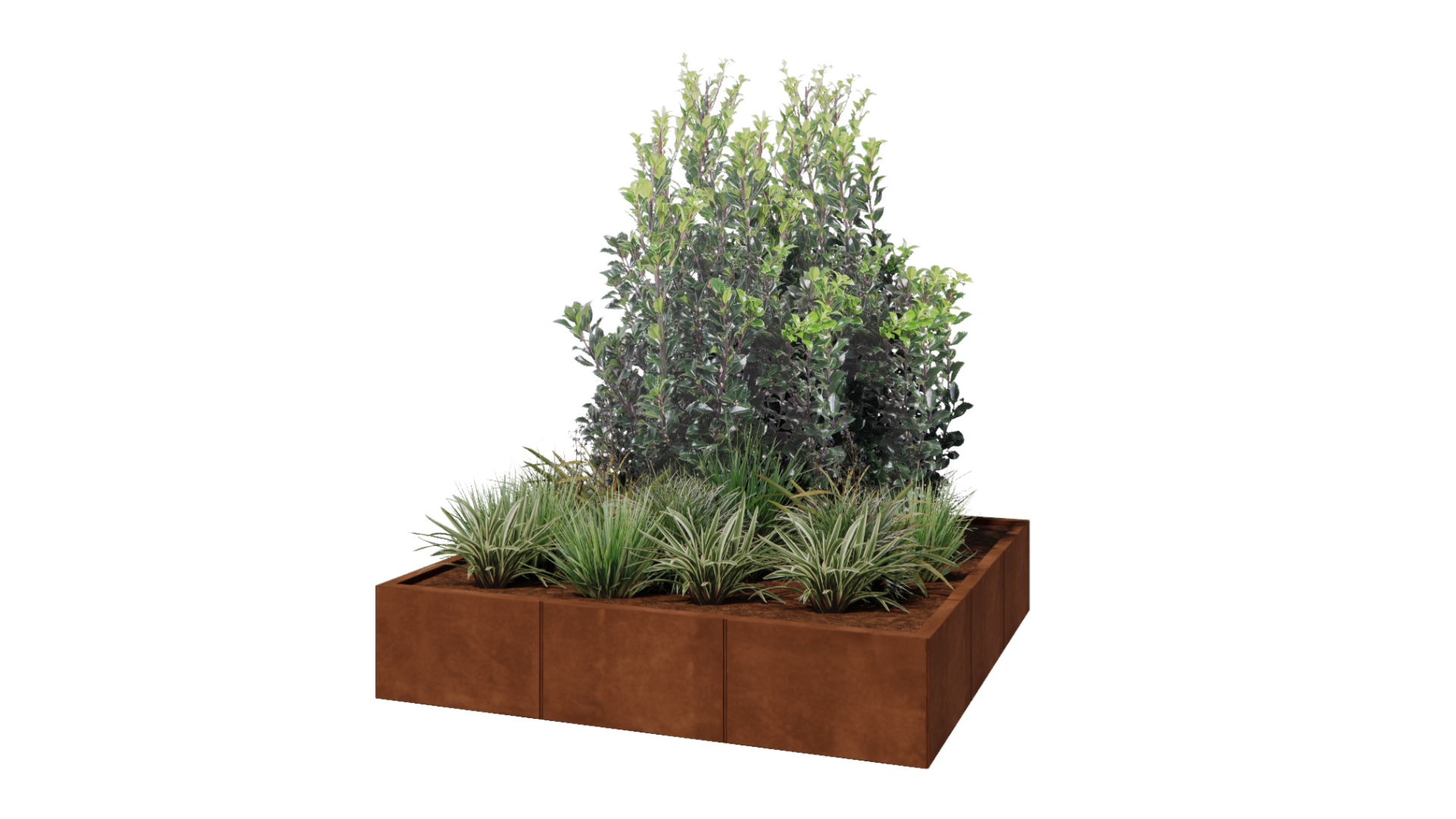 Cortenstaal plantenbakken