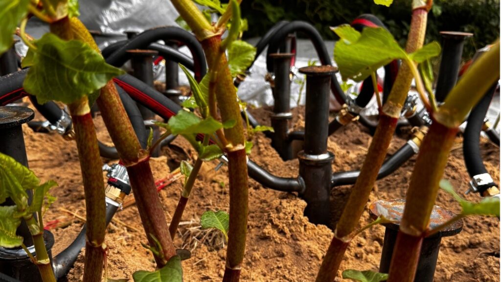 Onafhankelijk WUR-onderzoek naar de heetwatermethode van JDK Solution