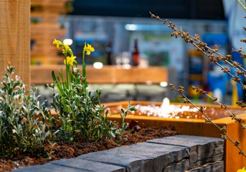 20250109_195431_GroeneSectorVB_KevinvlPhotography_DSC05622-Enhanced-NR-LR