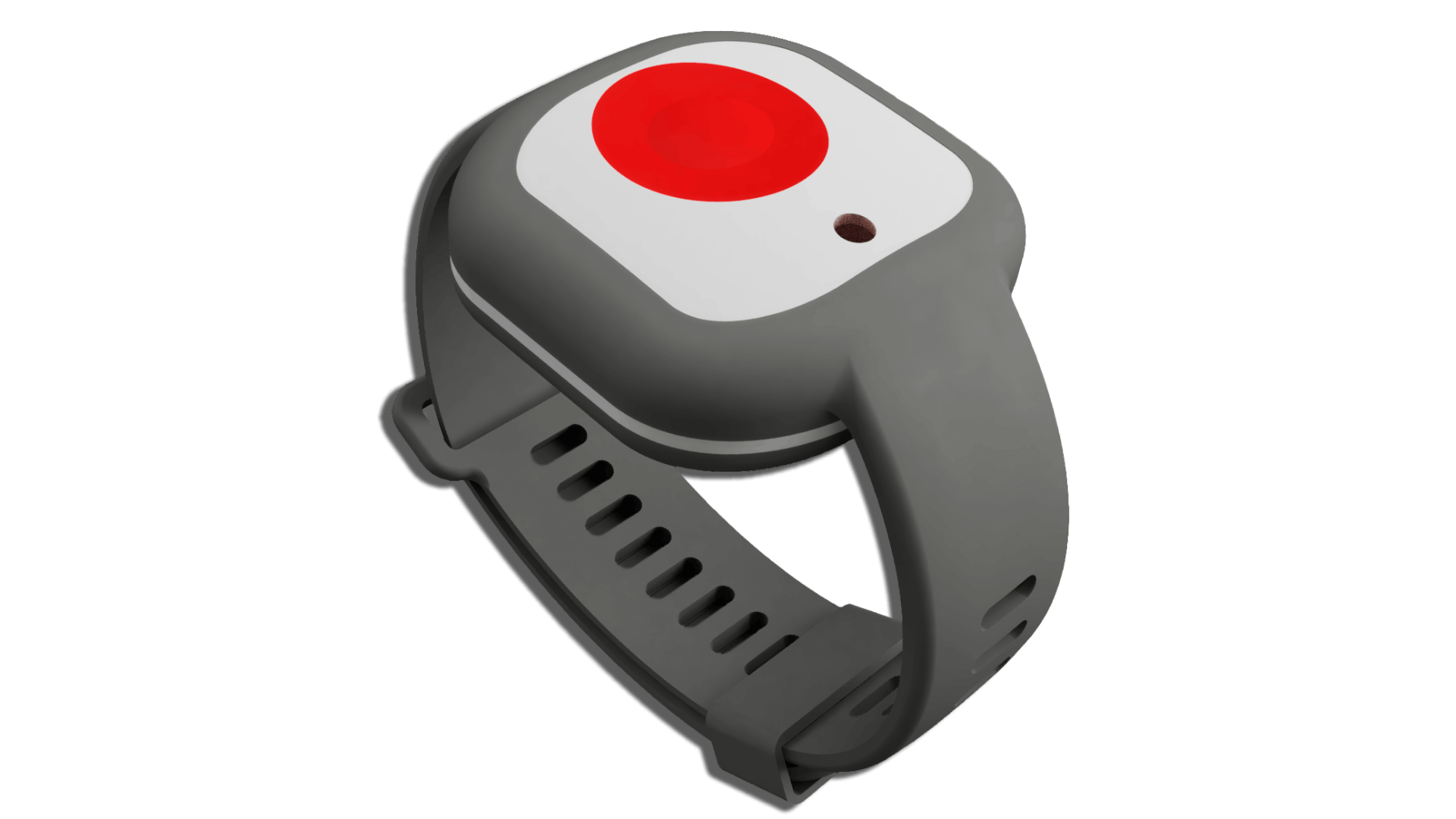 ITRACK Polsmedallion