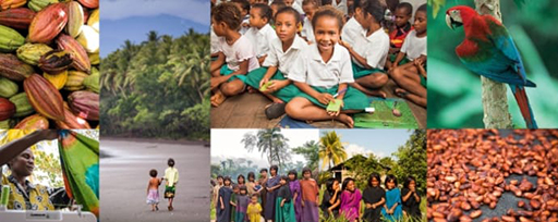 10 jaar samenwerking van Brother met Cool Earth