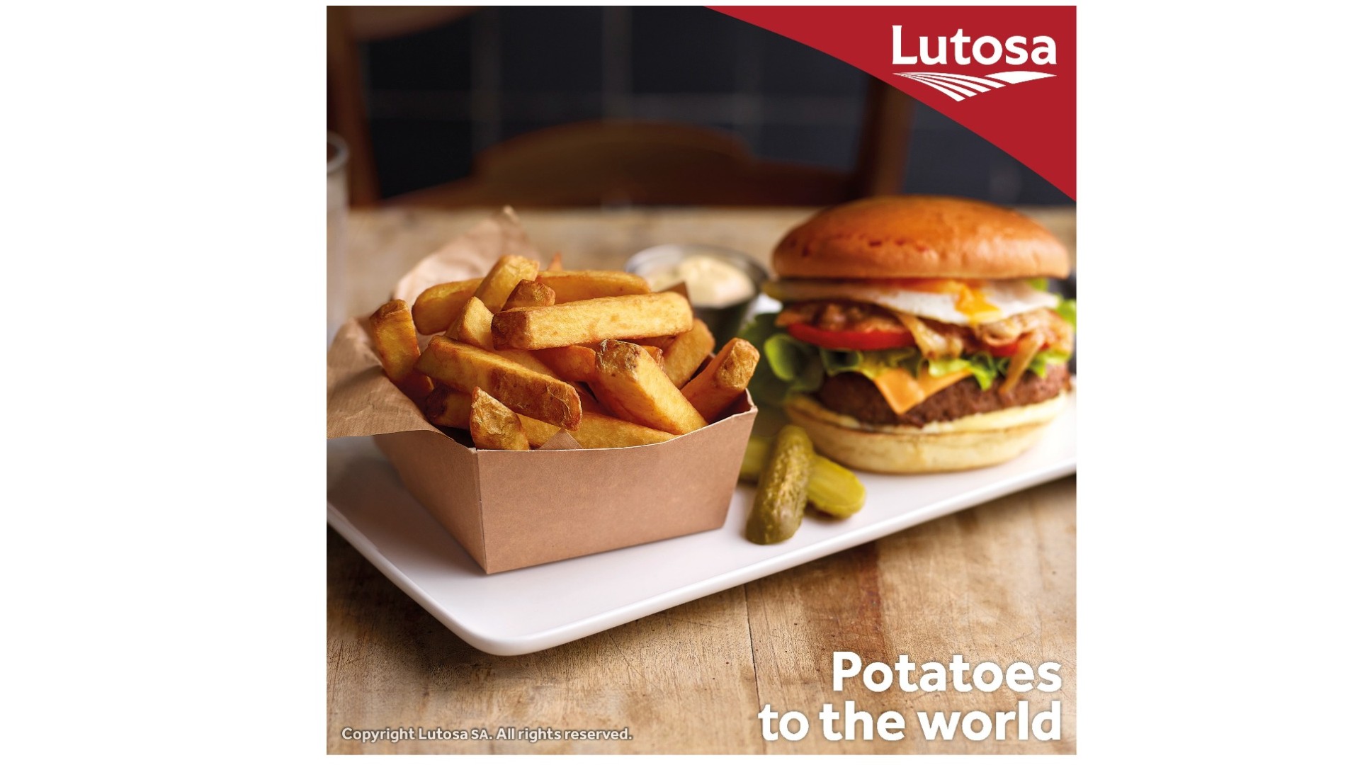 Frites rustiques enrobées et salées 14/14 mm