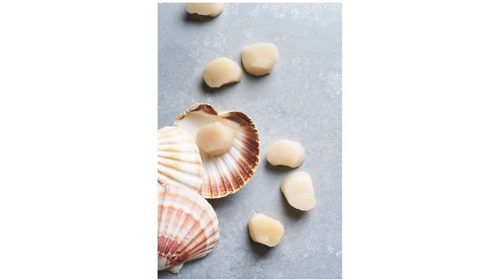Coquilles