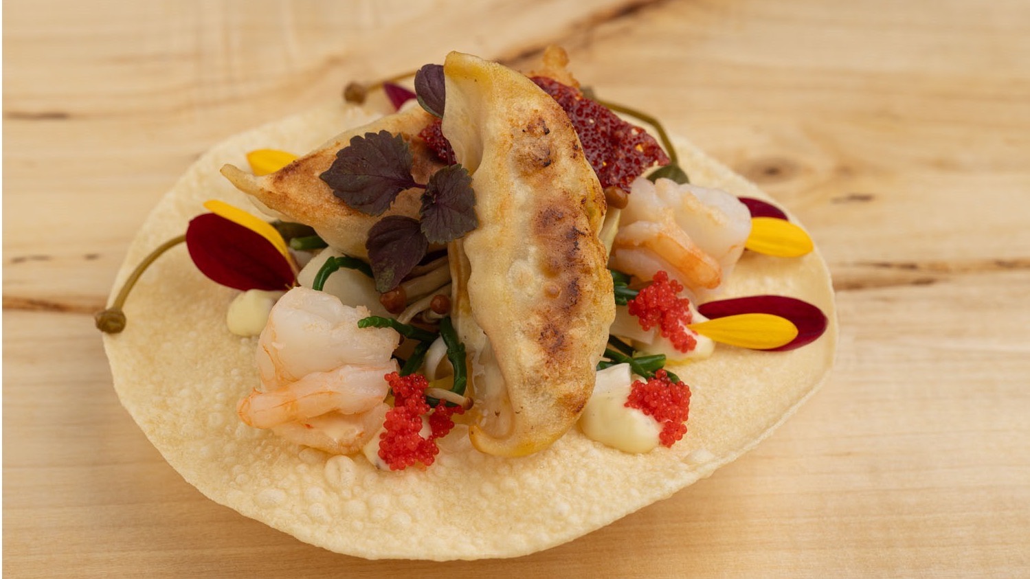 Dutch Dumplin Garnaal