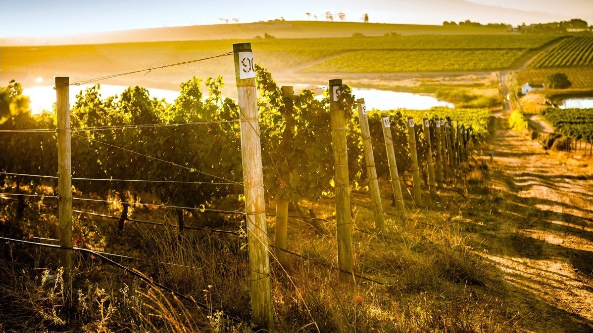 Mulderbosch Stellenbosch