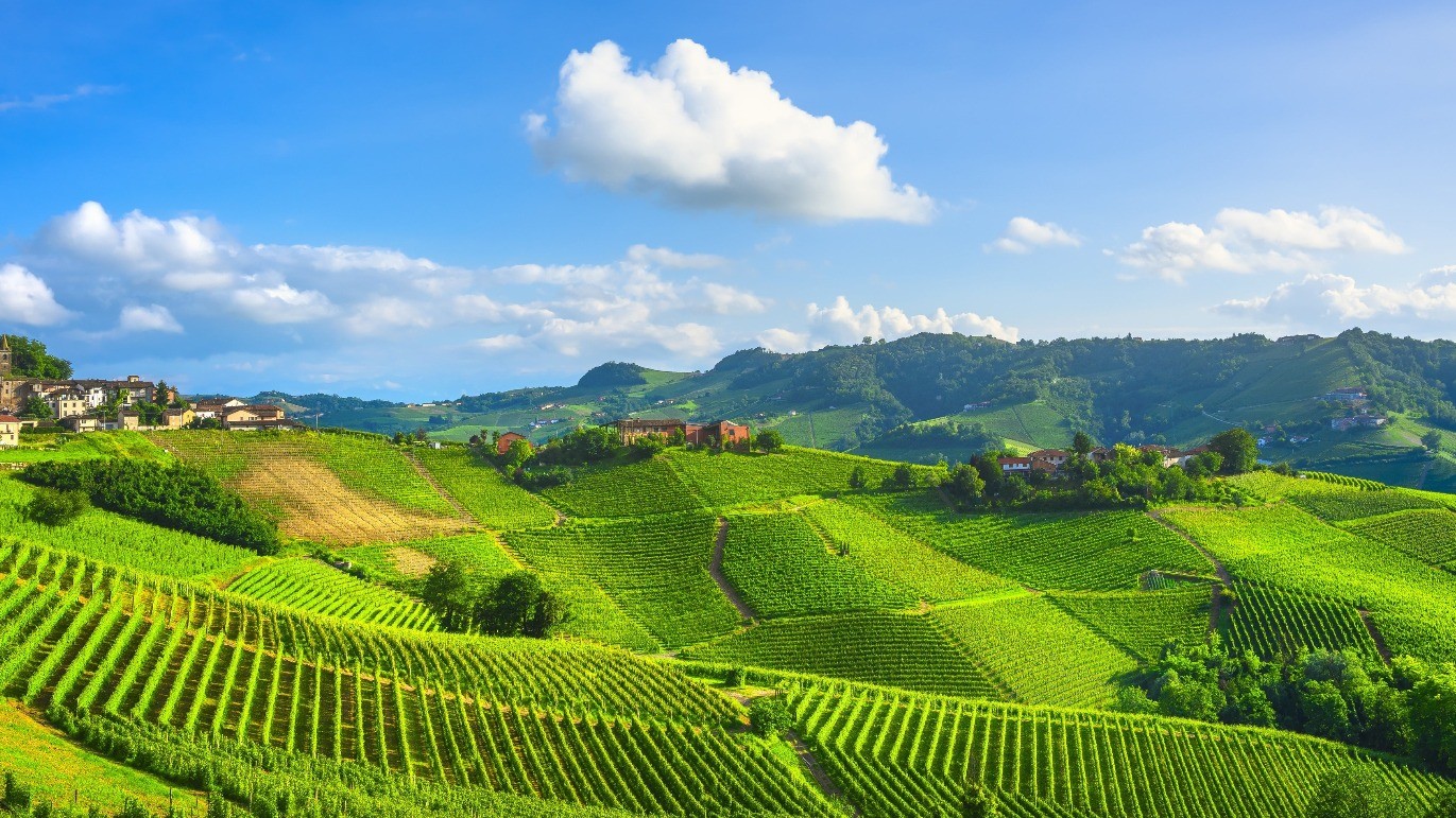 Barolo Poderi Gagliardo La Morra