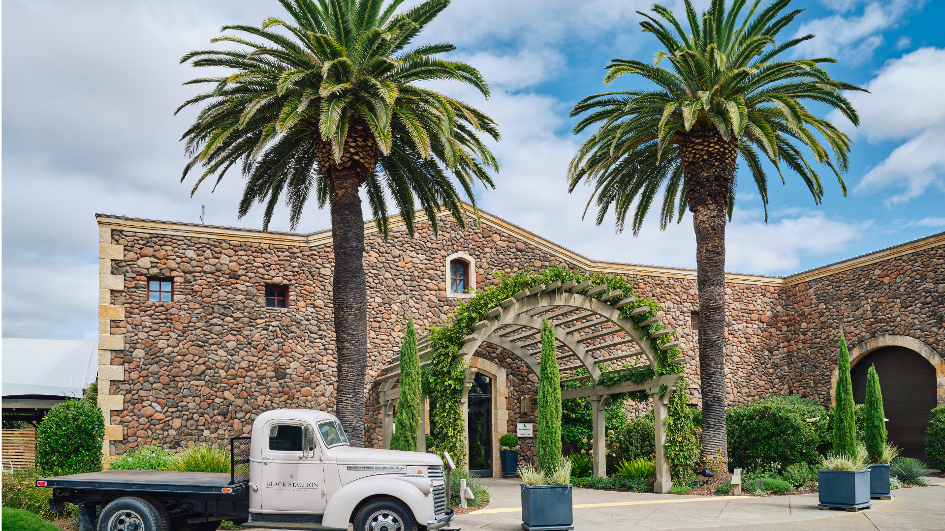 Napa Valley Black Stallion