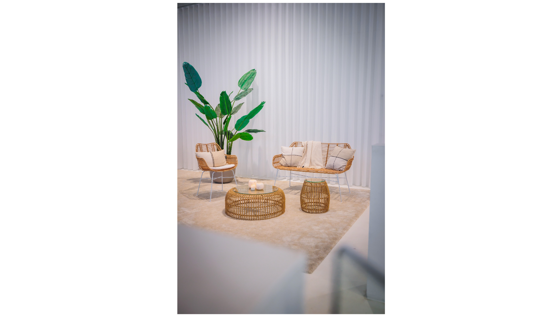 Palm Lounge Collection