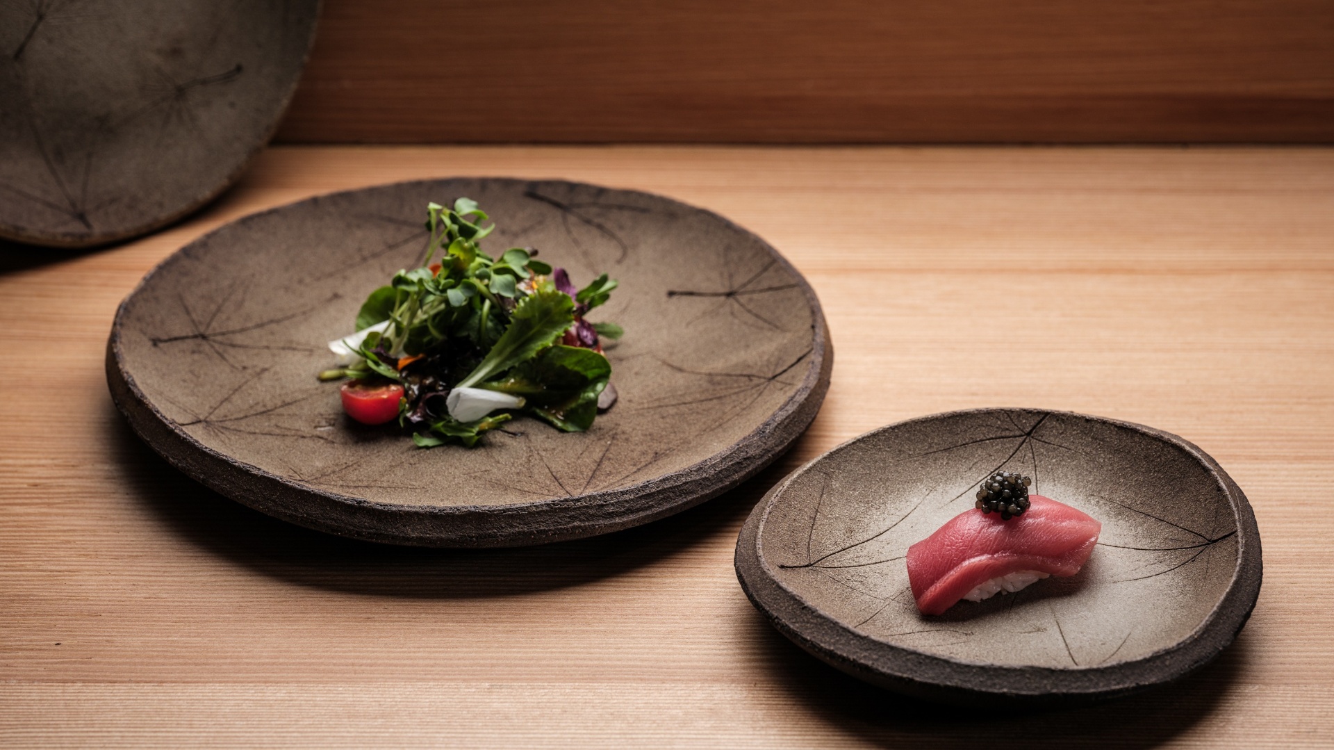 Robust – Japanese Maple