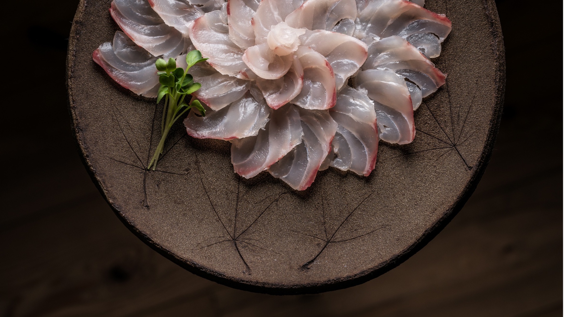 Robust – Japanese Maple