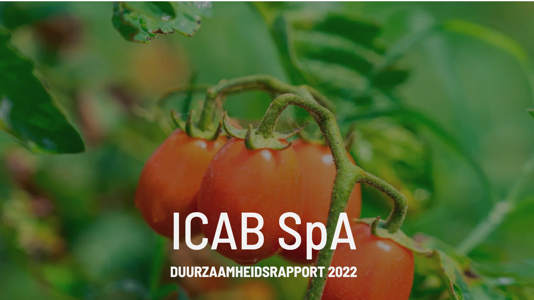 Pomodori Superiore (Campania)