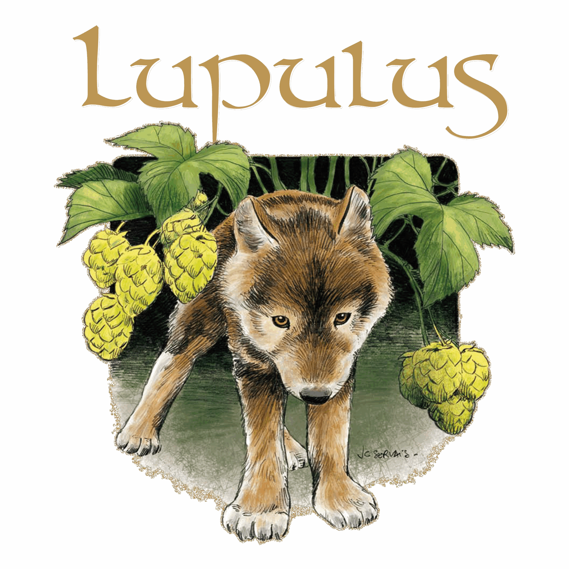 Brasserie Lupulus