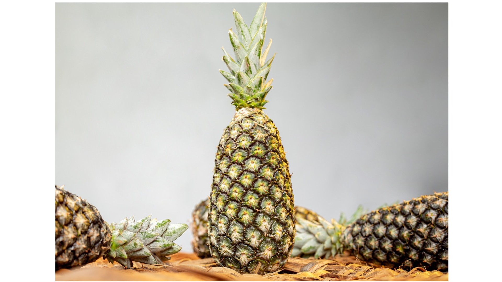 L’ananas Pain de Sucre du Bénin mondialement reconnu pour son goût unique, est présenté par l’entreprise GABS au salon HORECA. Un répertoire de fournisseurs est disponible auprès de l’APIEx pour faciliter l’accès à ce fruit d’exception.