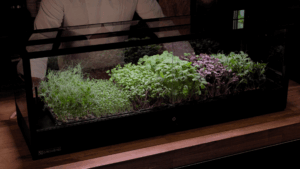 MiniGro microfarm