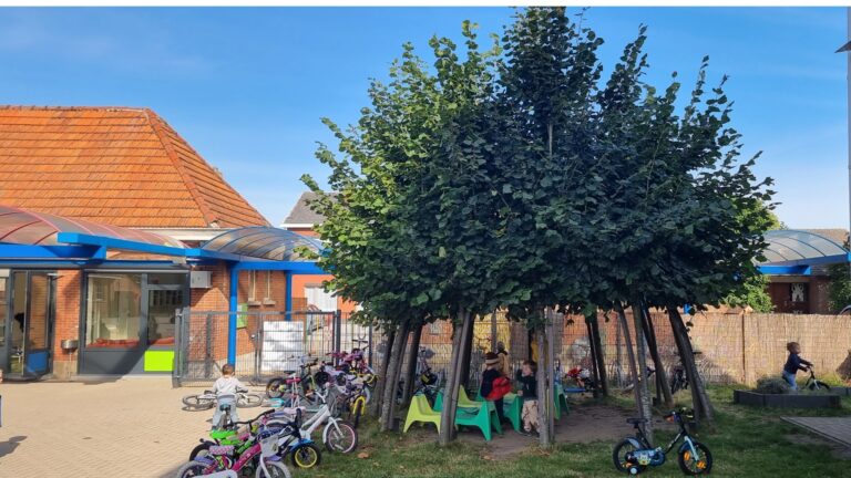 Schaduwkoepel uit 12 leilinden voor natuurlijke schaduw