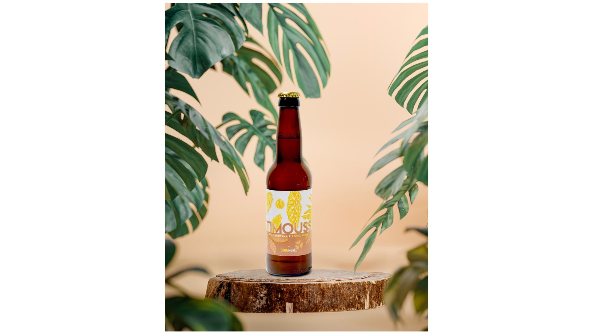 TIMOUSS – GINGEMBRE – Ambrée