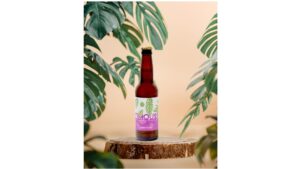 TIMOUSS – GÉRANIUM ROSAT – Blanche