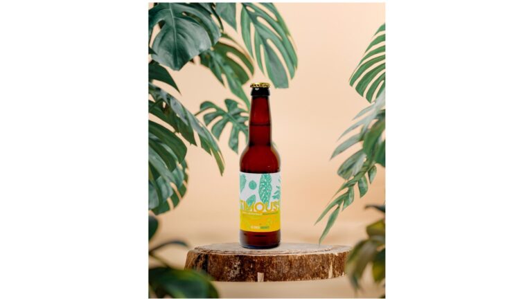 TIMOUSS – Ananas Victoria – Blonde