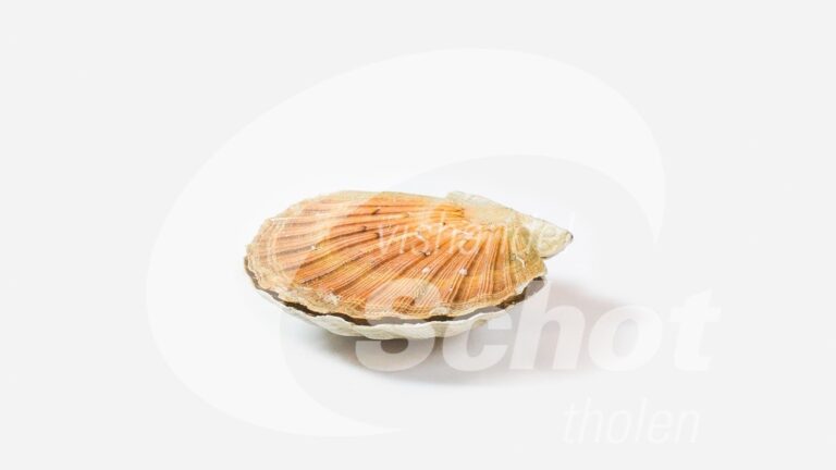 Franse coquilles