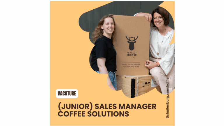 (Junior) Sales Manager