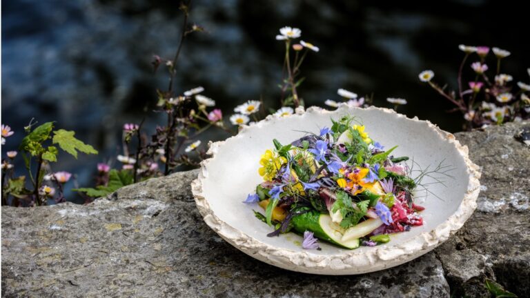 robust plate @ Bruut