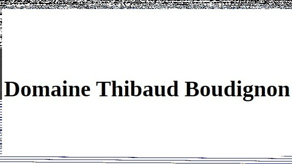 Domaine T. Boudignon