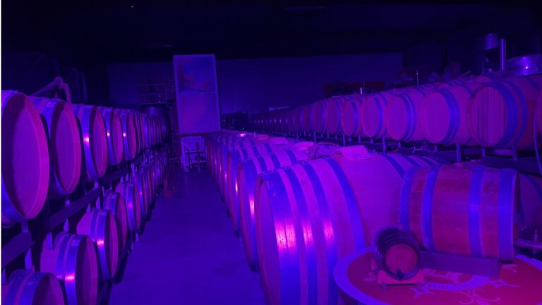 🚂 3. Wijnervaringen & toeristische events