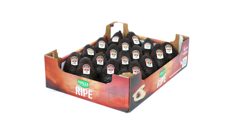 Avocado Ready To Eat