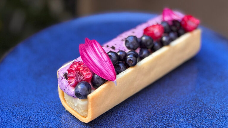 Professionele training in plantaardig gebak met Martina Sampaolo