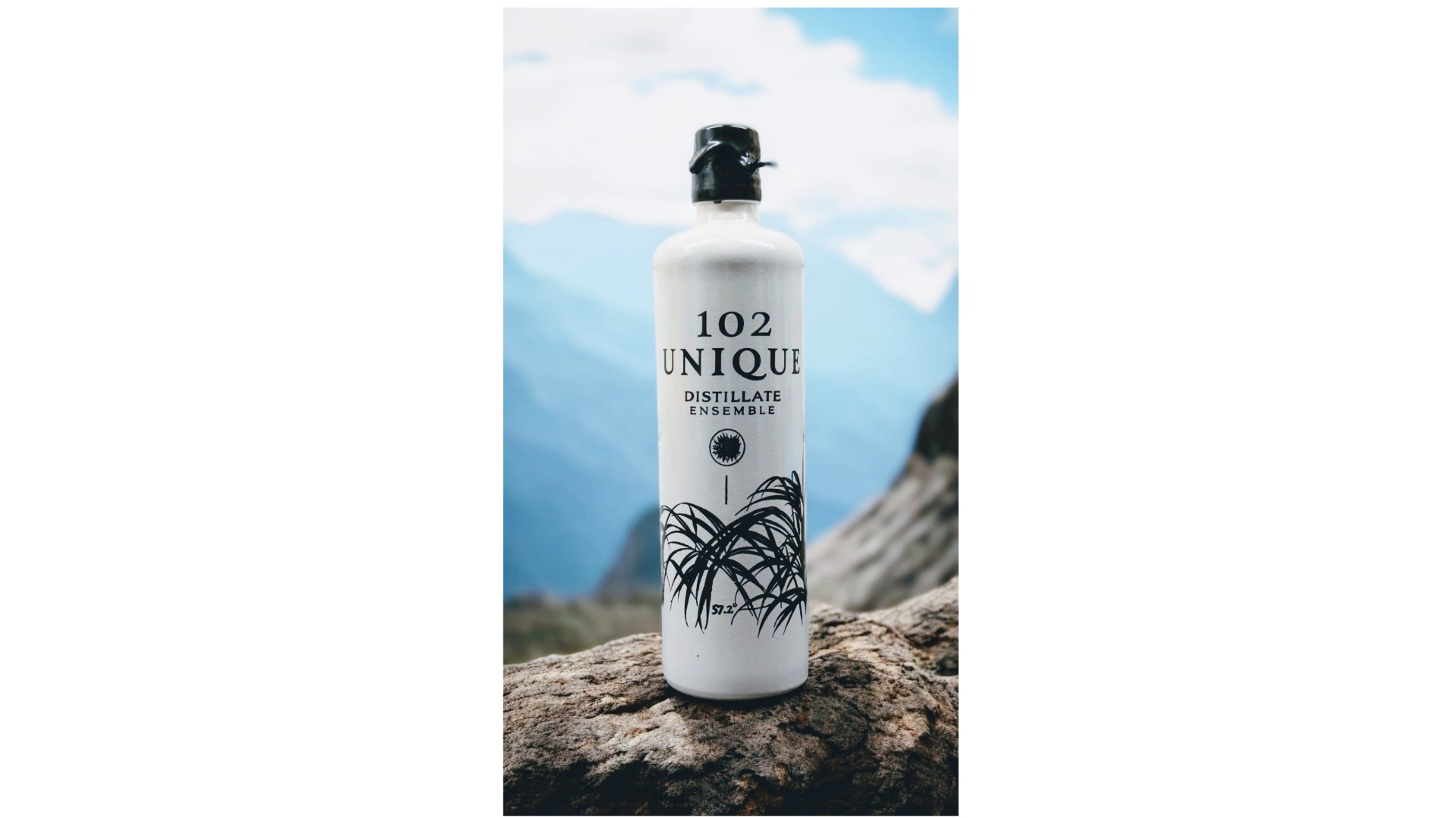 Unique  Sotol Blend with aguardiente