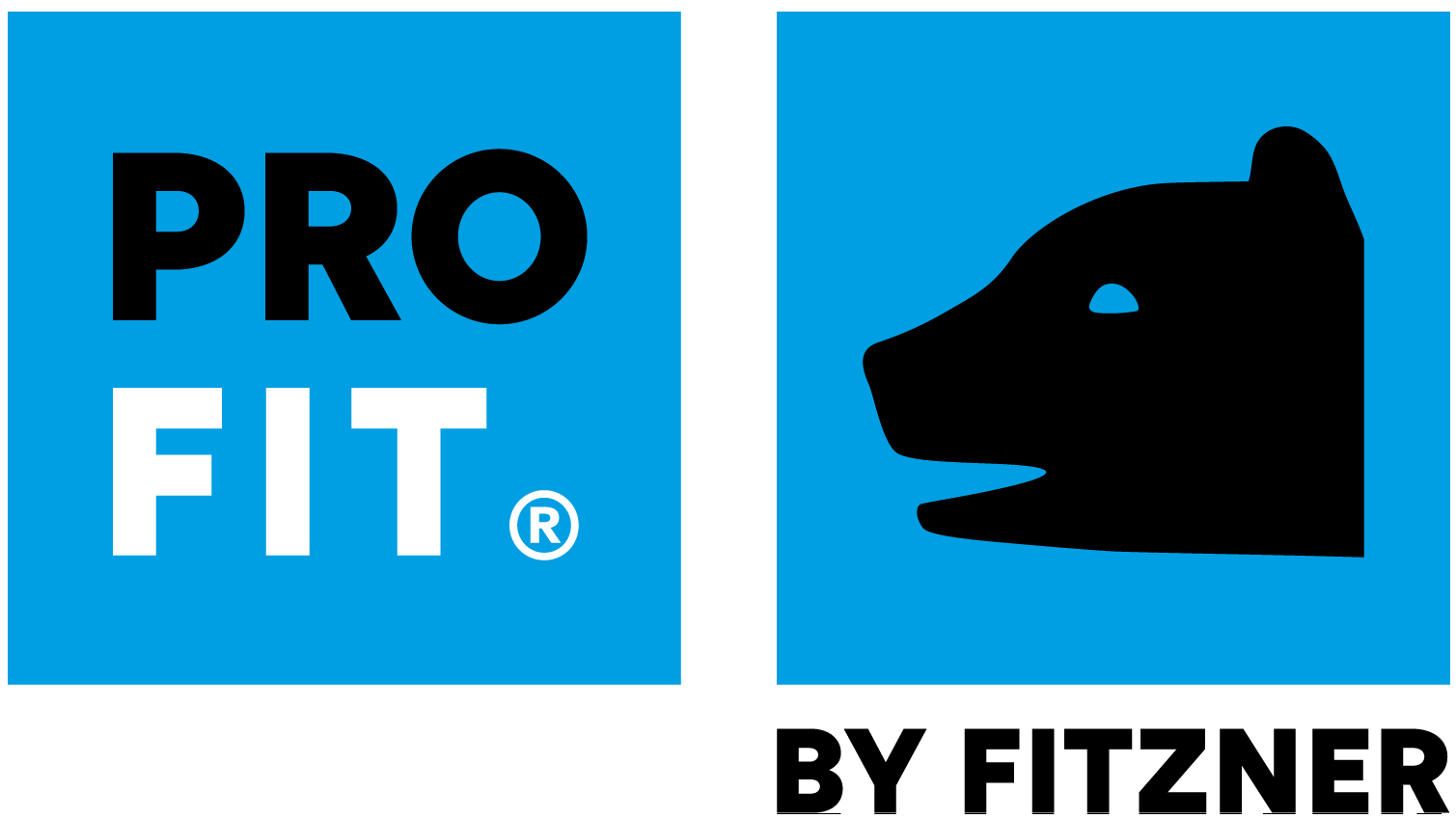 Fitzner GmbH & Co KG