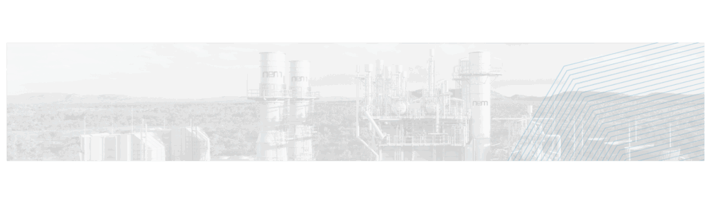 NEM Balcke-Dürr GmbH