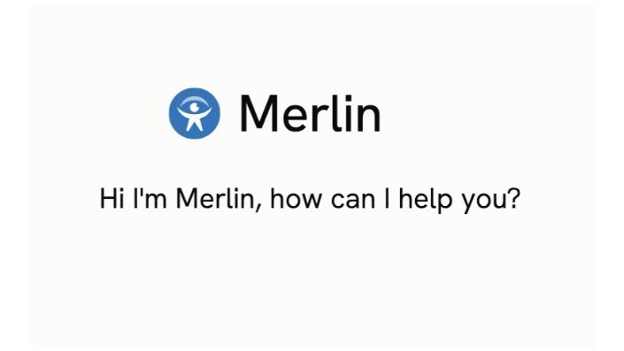 Merlin AI Agent for field workers
