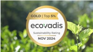 PIEL Gruppe erreicht Gold-Status bei EcoVadis und zählt zu den Top 5 % der bewerteten Unternehmen