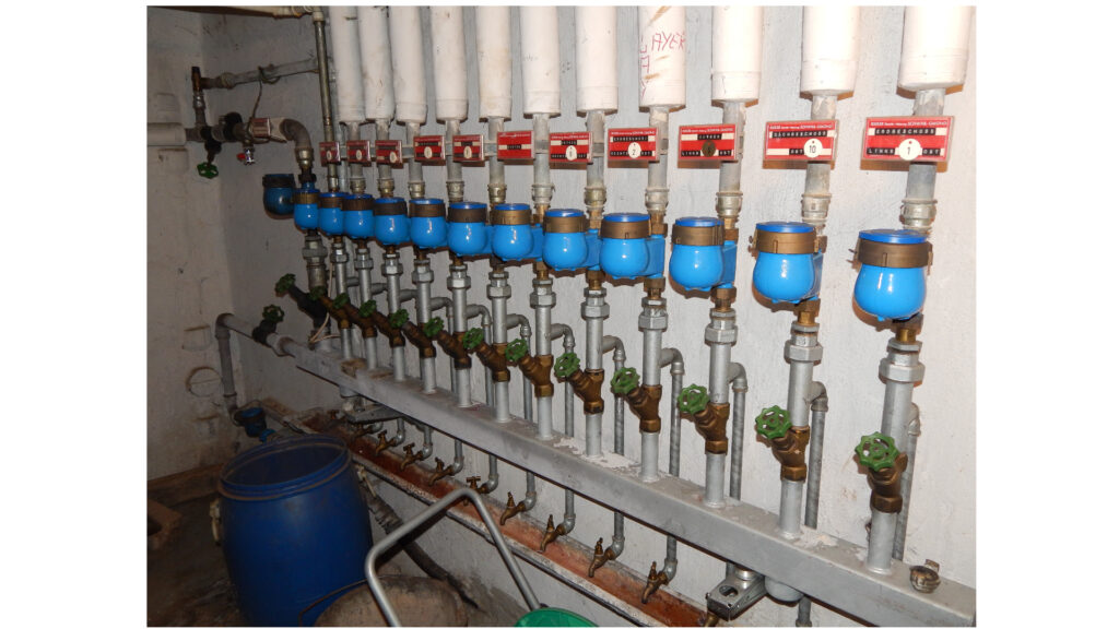 Reinigung von wasserführenden Systemen