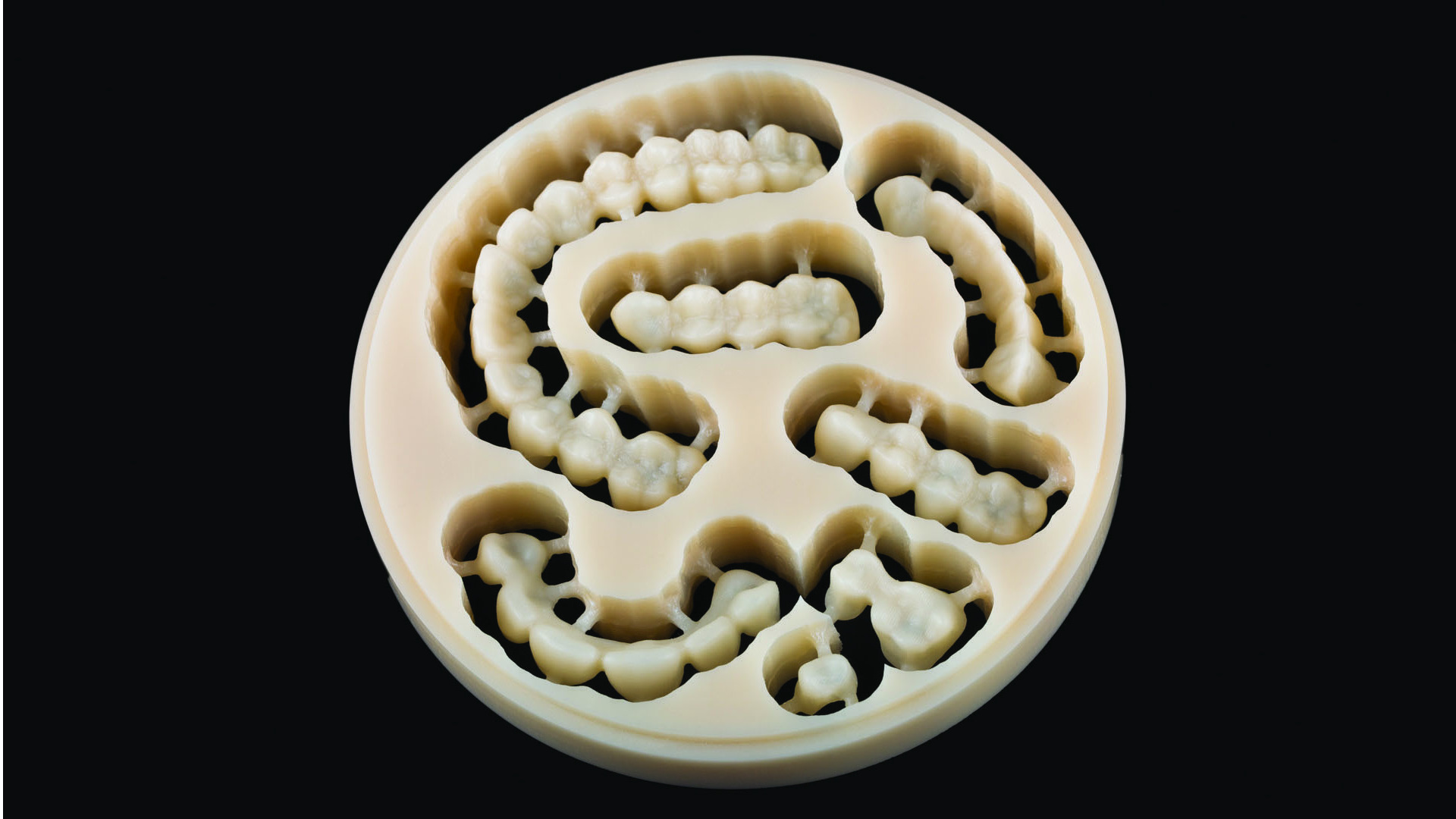 Polident PMMA CAD-CAM DISCS basic