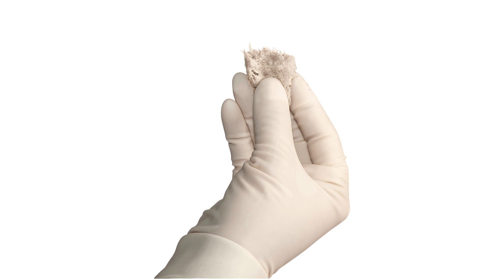 OraGraft Prime & Endure